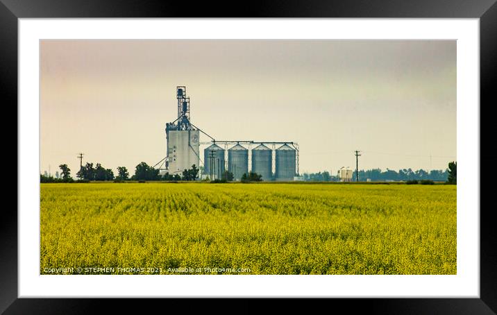 The Paterson Grain Terminal, Rosser, MB Framed Mounted Print by STEPHEN THOMAS