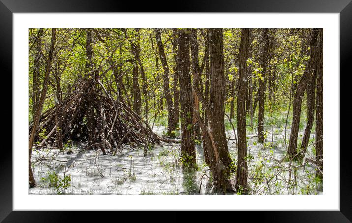 Is That Snow Outside My Wigwam? Framed Mounted Print by STEPHEN THOMAS