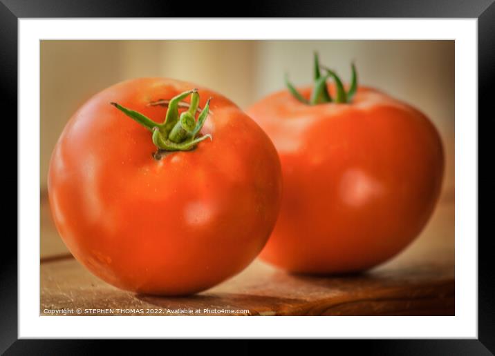 Two Tomatoes Framed Mounted Print by STEPHEN THOMAS