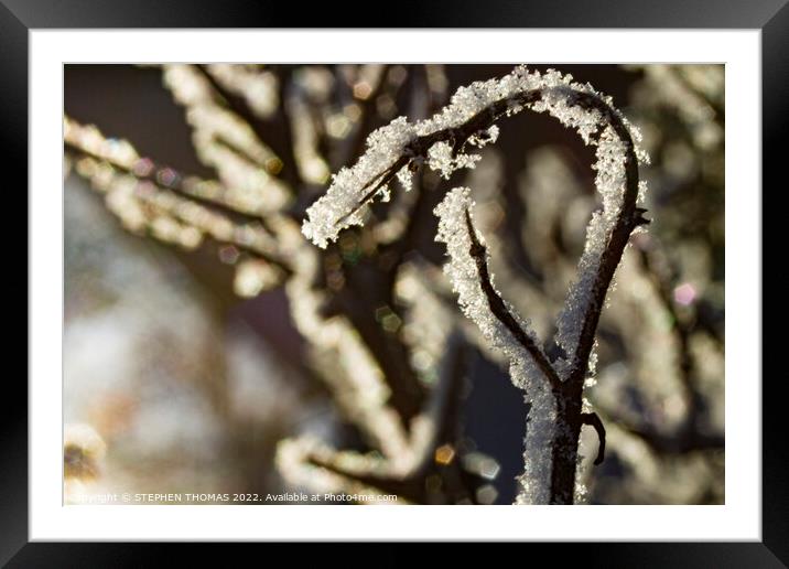 Frost O So Fine Framed Mounted Print by STEPHEN THOMAS