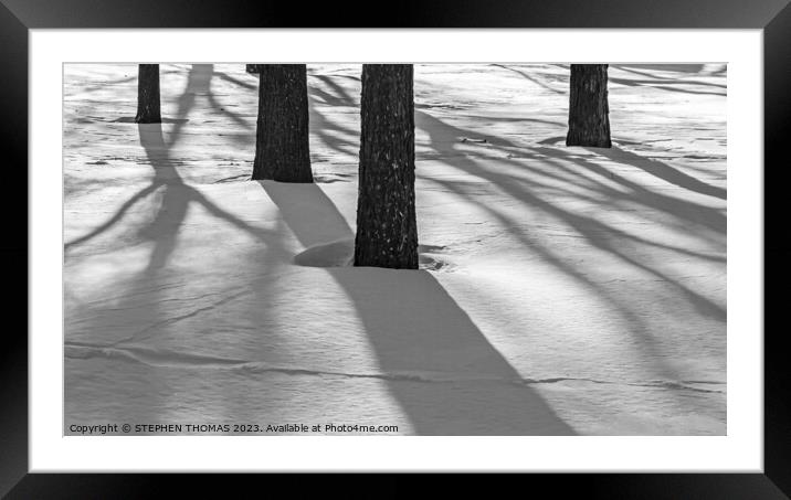 Tree Shadows Framed Mounted Print by STEPHEN THOMAS