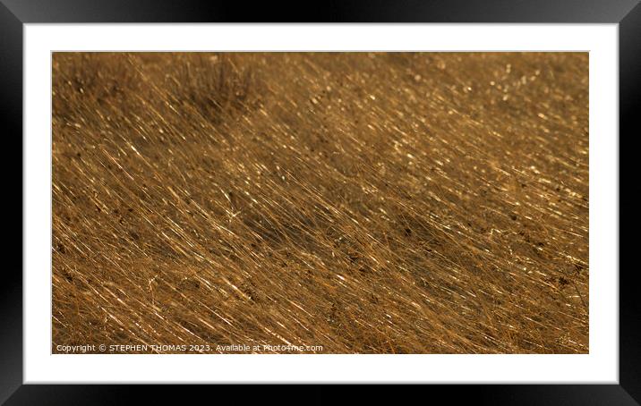 Spinning Straw Into Gold 2 Framed Mounted Print by STEPHEN THOMAS