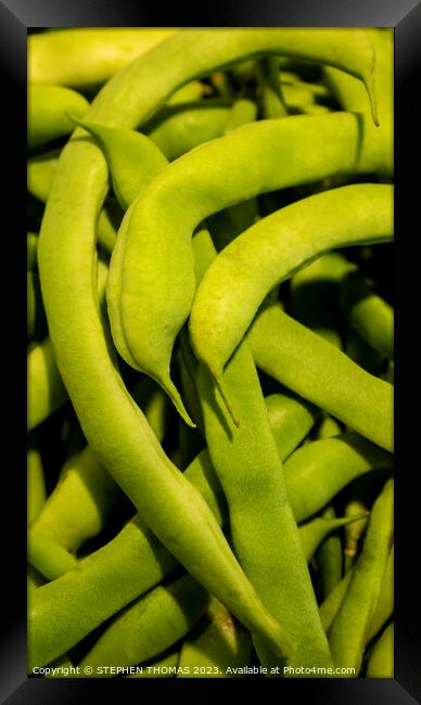 Green Beans Close-up Framed Print by STEPHEN THOMAS