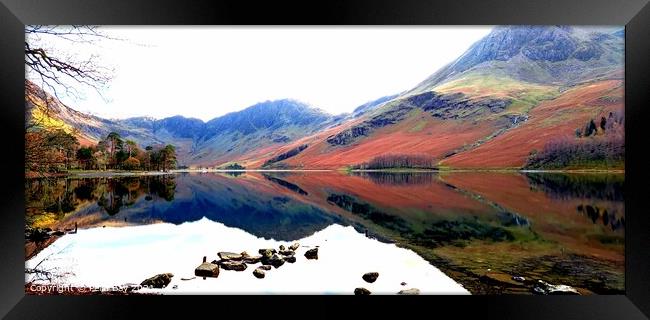 Autumn mountain reflections Buttermere Framed Print by Pelin Bay