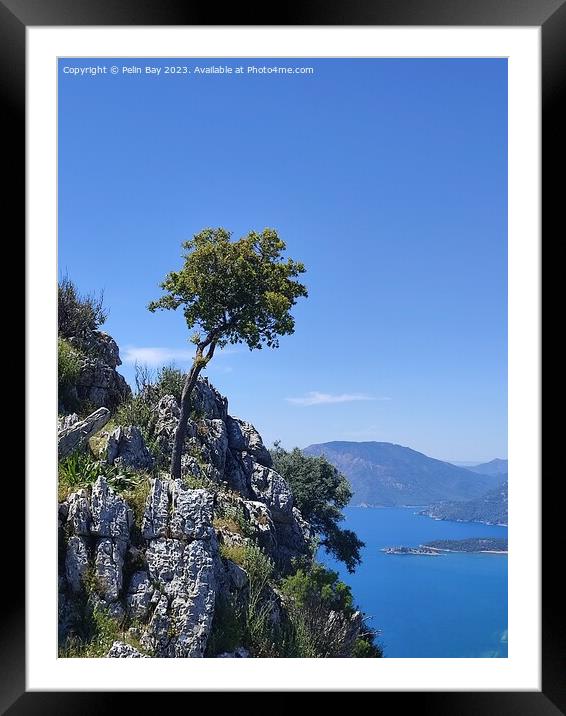 A tree on a mountain over looking dalyan in Turkey  Framed Mounted Print by Pelin Bay
