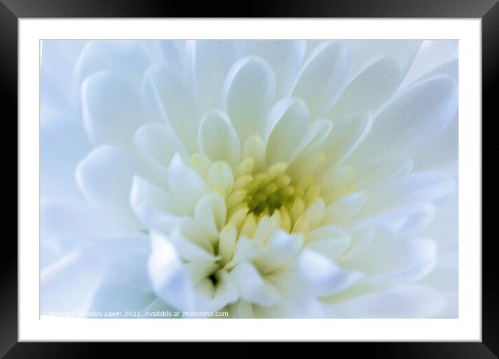 Beautifully white  Framed Mounted Print by Pelin Bay