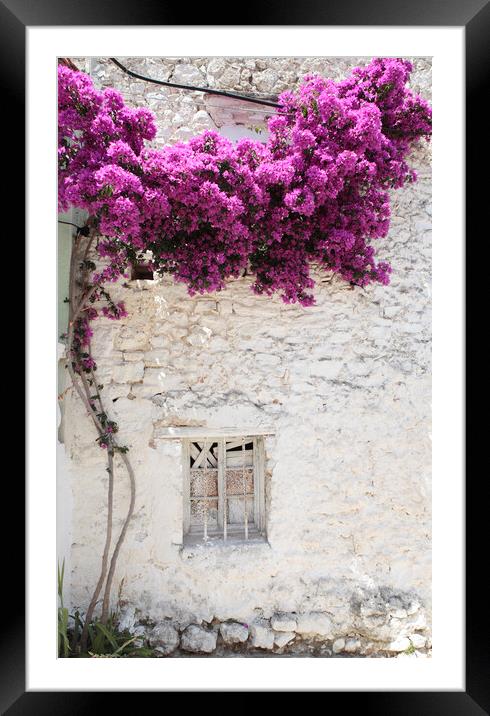 Old Greek Window with bougainvillea flowers, Corfu Framed Mounted Print by Neil Overy