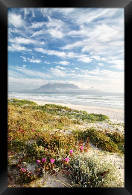 Cape Town from Table Bay Framed Print by Neil Overy