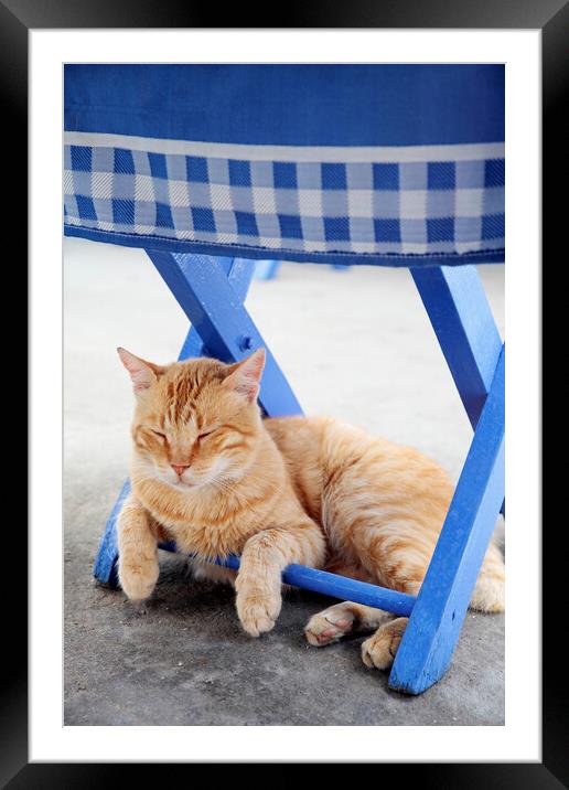 Cat Sleeping under blue chair, Kastellorizo, Greec Framed Mounted Print by Neil Overy