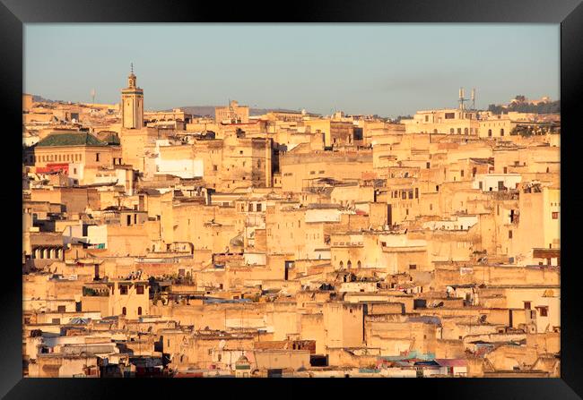The Medina in Fez, Morocco in the early monring light Framed Print by Neil Overy