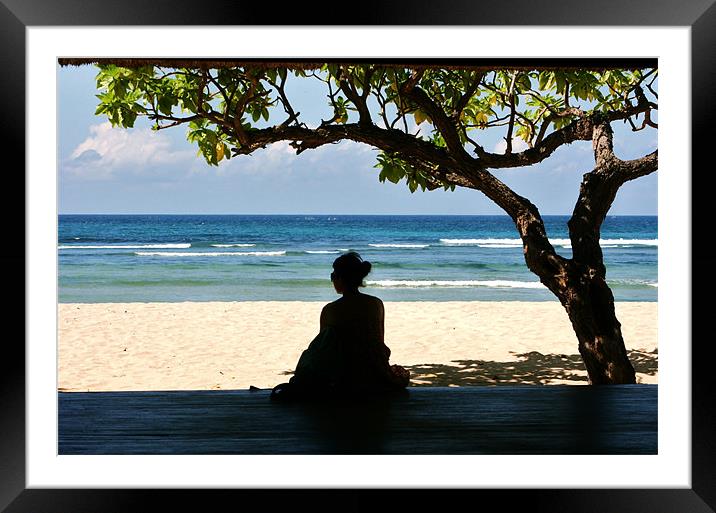 Tropical Contemplation Framed Mounted Print by David Gardener
