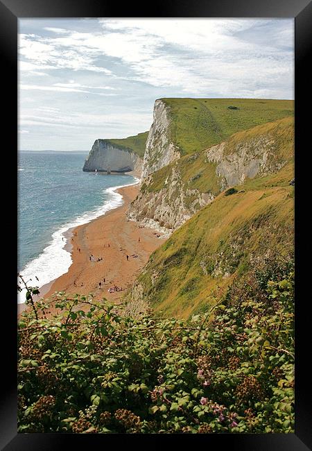 Jurassic Cliffs, Dorset Framed Print by David Gardener