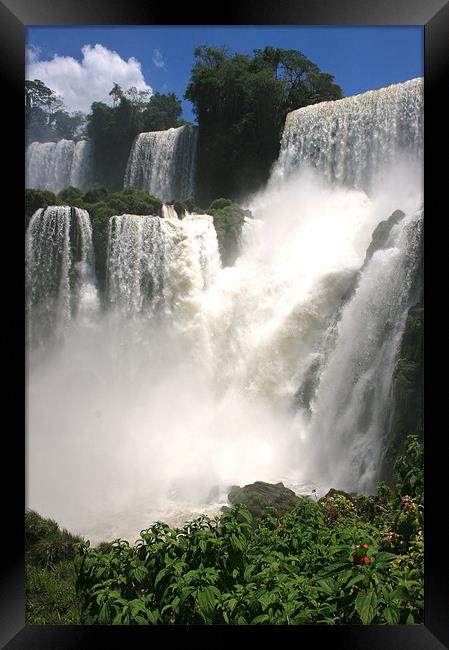 Iguazu Falls Framed Print by David Gardener