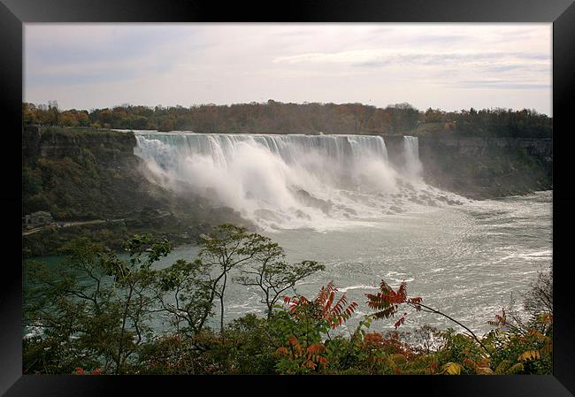 American Falls, Niagara Framed Print by David Gardener