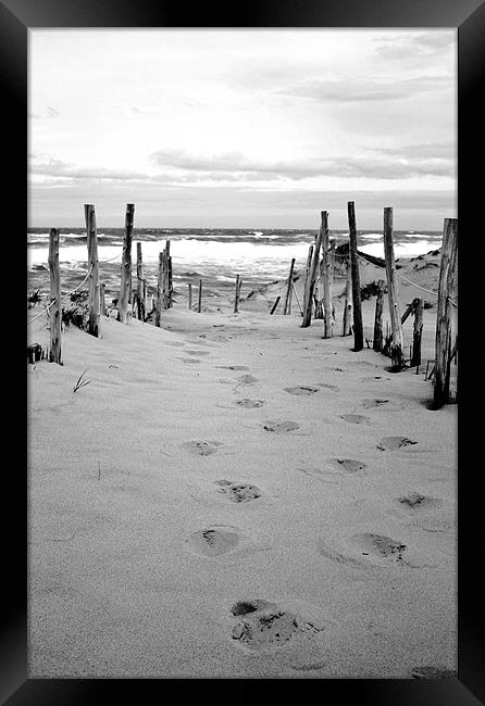 Footprints in the Sand Framed Print by David Gardener