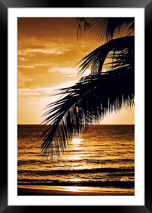 Caribbean Sunset, Barbados Framed Mounted Print by David Gardener