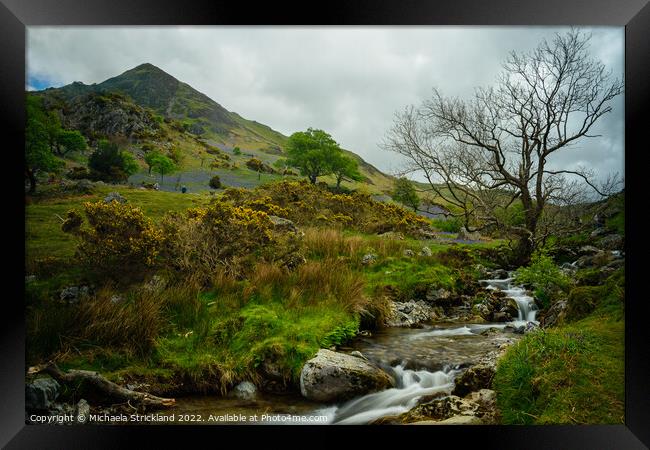Bluebells and Squat Beck below Whiteless pike at Rannerdale  Framed Print by Michaela Strickland
