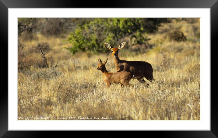 Sounding the alarm Framed Mounted Print by Adrian Turnbull-Kemp