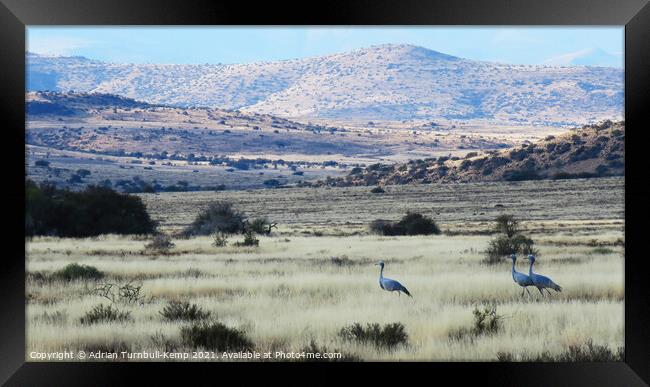 Homeward bound Framed Print by Adrian Turnbull-Kemp