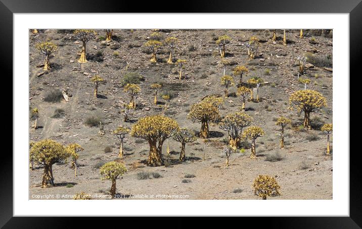 Quiver tree forest Framed Mounted Print by Adrian Turnbull-Kemp