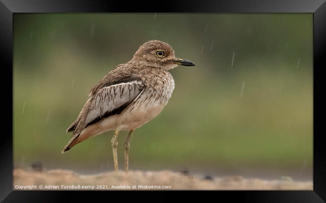 Summer shower Framed Print by Adrian Turnbull-Kemp