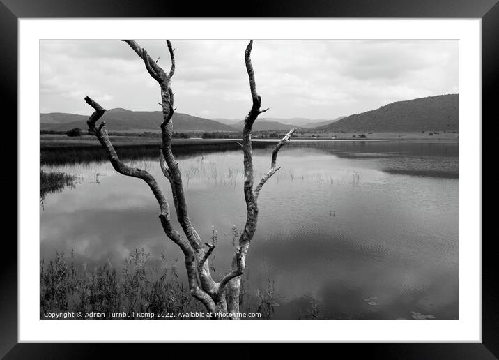 Dead tree, Mankwe Dam Framed Mounted Print by Adrian Turnbull-Kemp