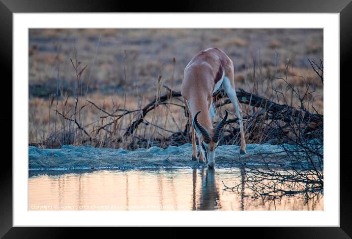 Late afternoon drink Framed Mounted Print by Adrian Turnbull-Kemp