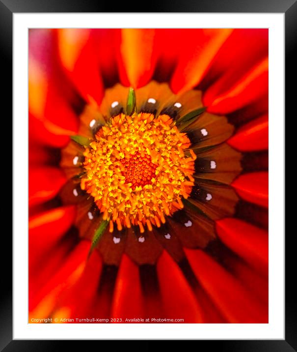 Radiating from the centre Framed Mounted Print by Adrian Turnbull-Kemp