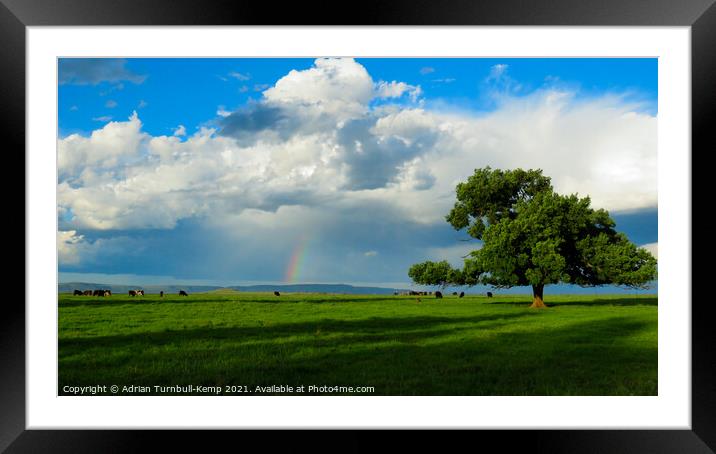 End of the rainbow near Magaliesberg, North West, South Africa Framed Mounted Print by Adrian Turnbull-Kemp