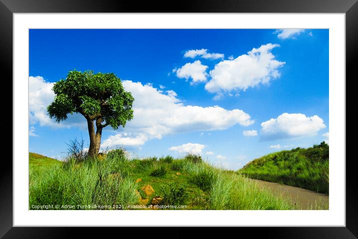 Over the blue yonder, Suikerbosrand Nature Reserve, Gauteng, South Africa Framed Mounted Print by Adrian Turnbull-Kemp