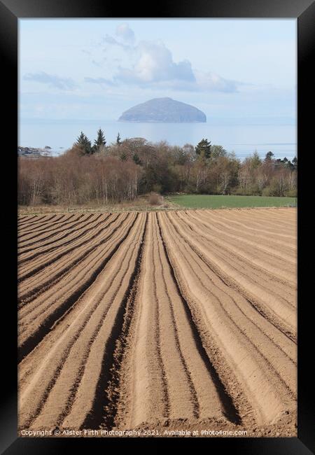 Ploughed furrows to Ailsa Craig Framed Print by Alister Firth Photography