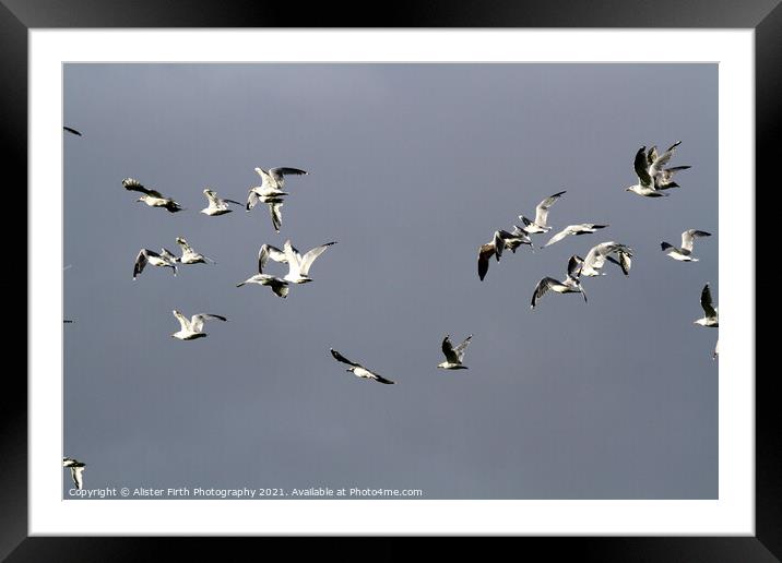 Freedom Flight Framed Mounted Print by Alister Firth Photography