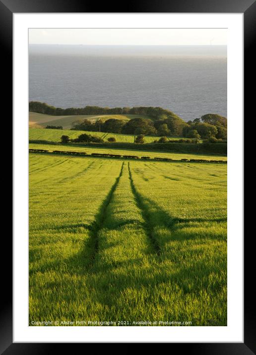 Leading lines Framed Mounted Print by Alister Firth Photography