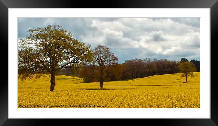 Rape fields in kent Framed Mounted Print by Deborah Welfare