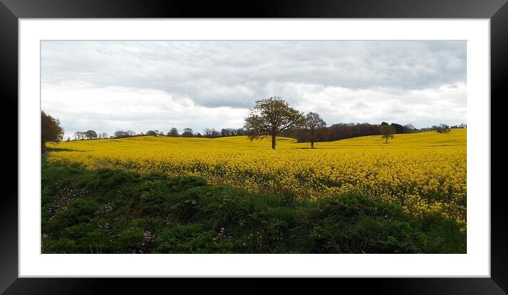 Spring field in kent Framed Mounted Print by Deborah Welfare