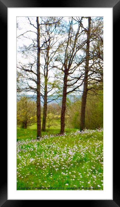 Springtime view Framed Mounted Print by Deborah Welfare