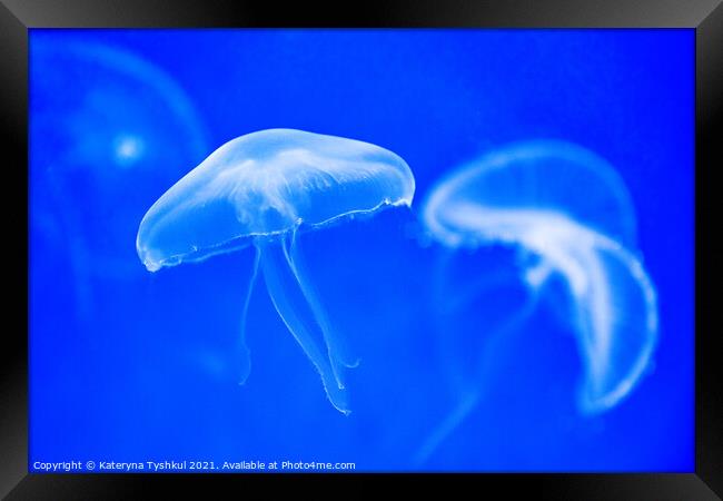 White jellyfish in blue water Framed Print by Kateryna Tyshkul