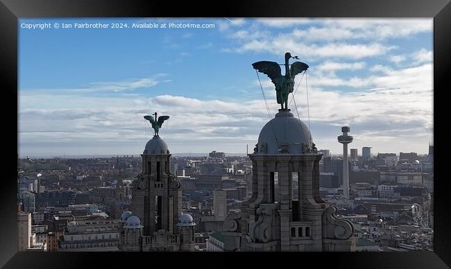 Liverbirds Framed Print by Ian Fairbrother