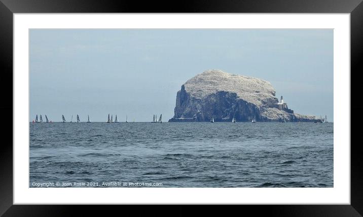 Yachts sailing in front of Bass Rock with lighthouse on right-hand side Framed Mounted Print by Joan Rosie