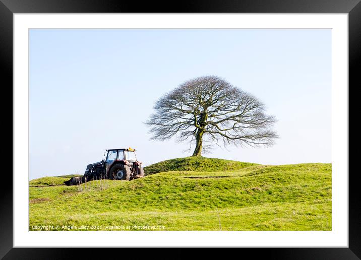 Tree on hill Grindon, Peak District Framed Mounted Print by Angela Lilley