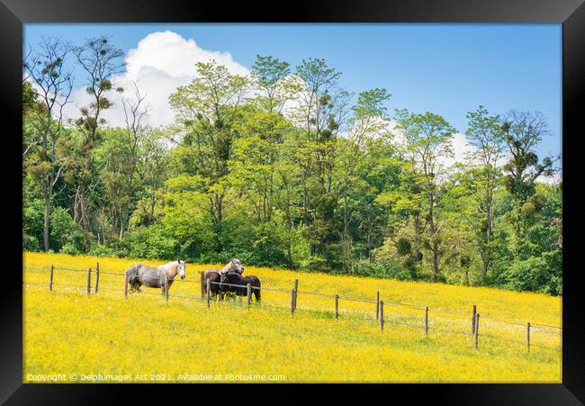 Spring landscape with horses in a field in France Framed Print by Delphimages Art