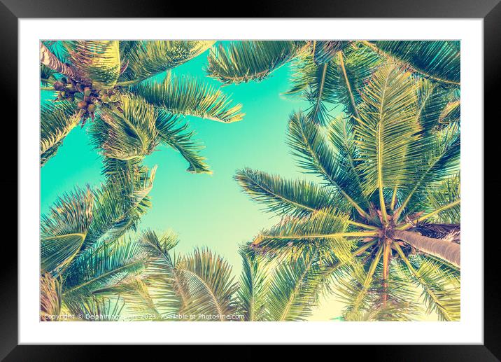 Blue sky and palm trees from below tropical summer Framed Mounted Print by Delphimages Art