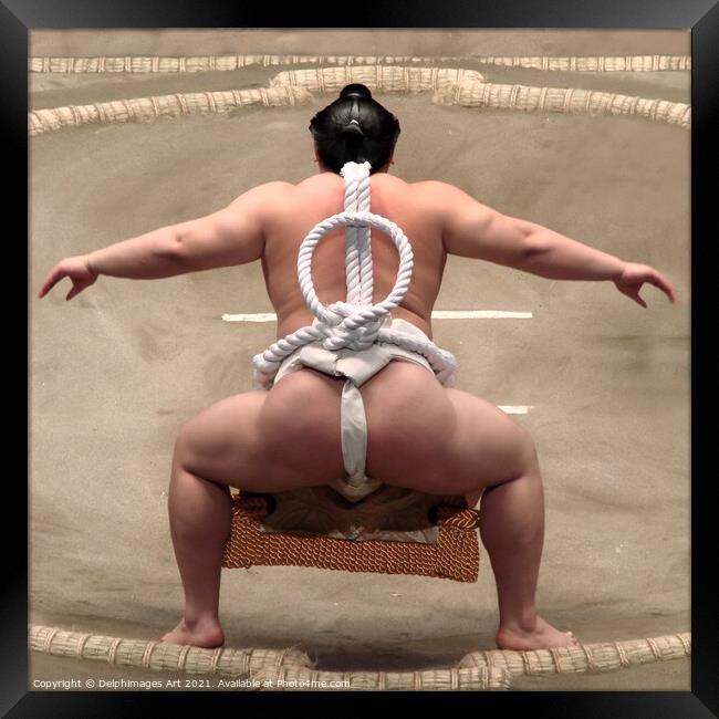 Yokozuna sumo wrestler  in Tokyo Japan Framed Print by Delphimages Art