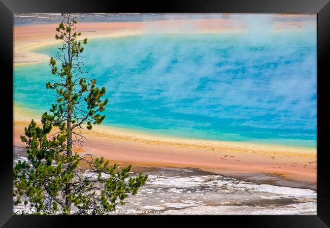 Yellowstone. Grand Prismatic spring Framed Print by Delphimages Art