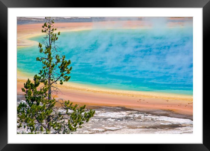Yellowstone. Grand Prismatic spring Framed Mounted Print by Delphimages Art