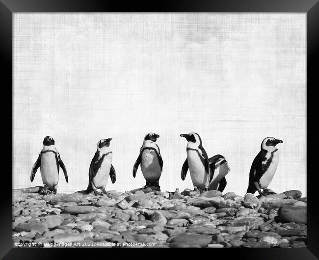 Row of Penguins. Funny animals, black and white Framed Print by Delphimages Art