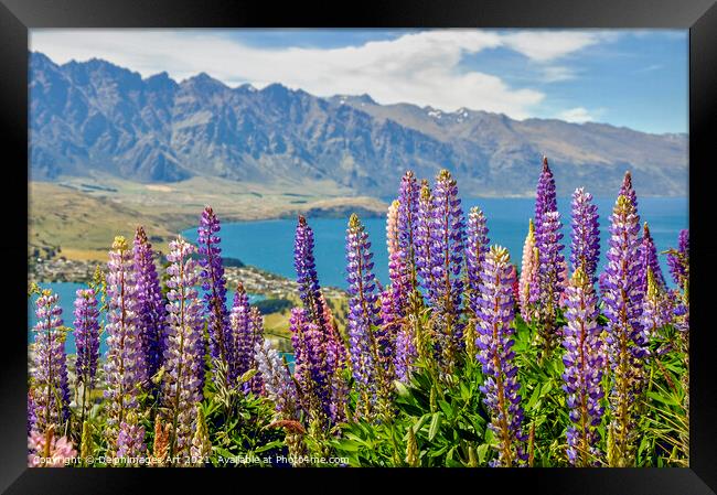 New Zealand. Lupins at Lake Wakatipu Queenstown Framed Print by Delphimages Art