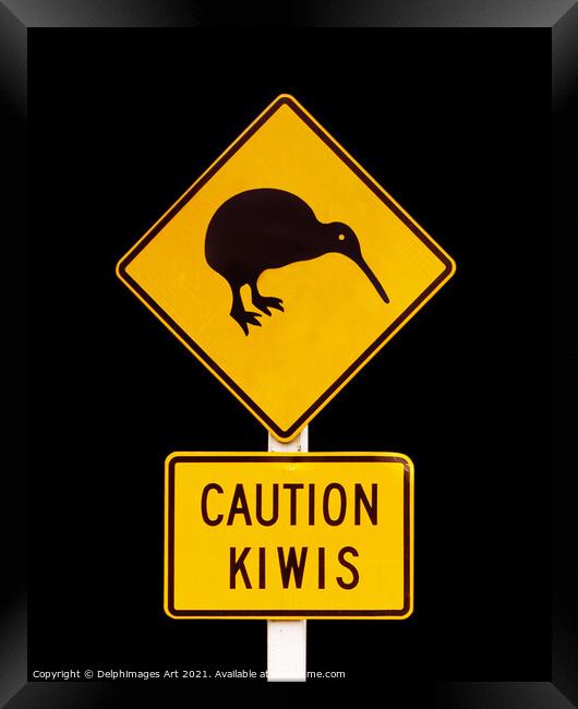 Caution kiwis, New Zealand road sign Framed Print by Delphimages Art