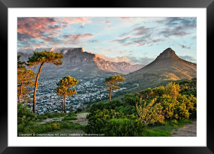 Signal Hill in Cape town at sunset, South Africa Framed Mounted Print by Delphimages Art