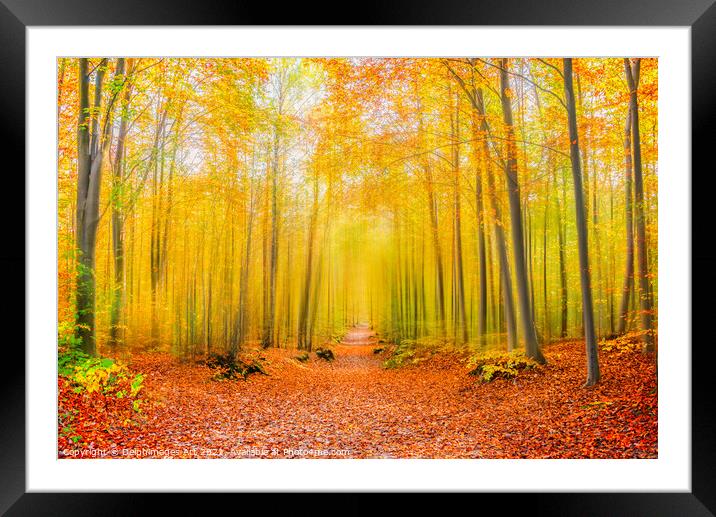 Magical forest path in autumn.  Fall foliage color Framed Mounted Print by Delphimages Art
